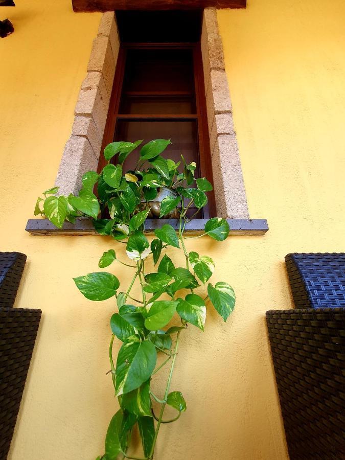 Palmas Anna'S Rooms Is Procilis Palmas Arborea Exterior photo